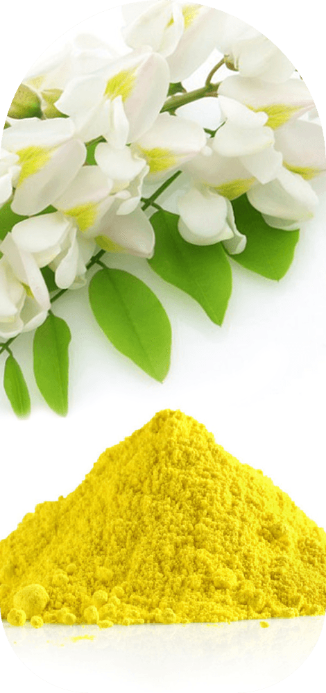 Quercetin source
